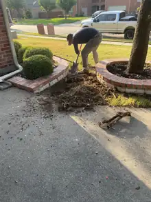 Worker exposing and digging around problem tree roots